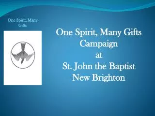 One Spirit, Many Gifts Campaign at St. John the Baptist New Brighton