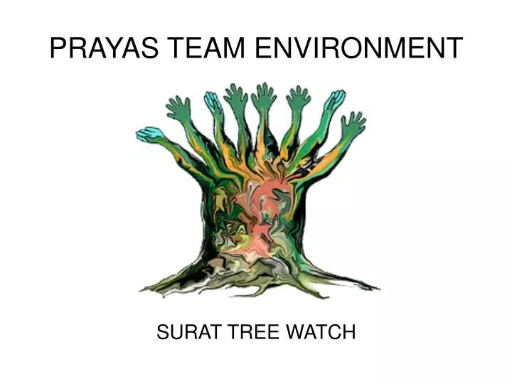 prayas team environment