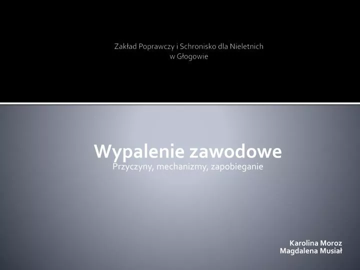 zak ad poprawczy i schronisko dla nieletnich w g ogowie