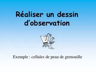 r aliser un dessin d observation