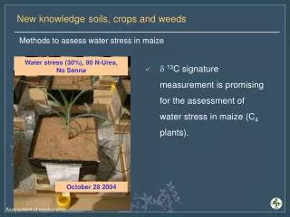 Methods to assess water stress in ma ize