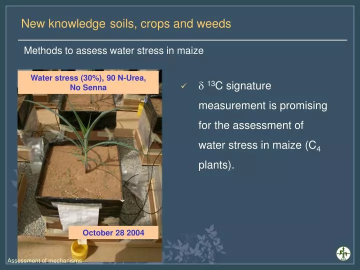 methods to assess water stress in ma ize