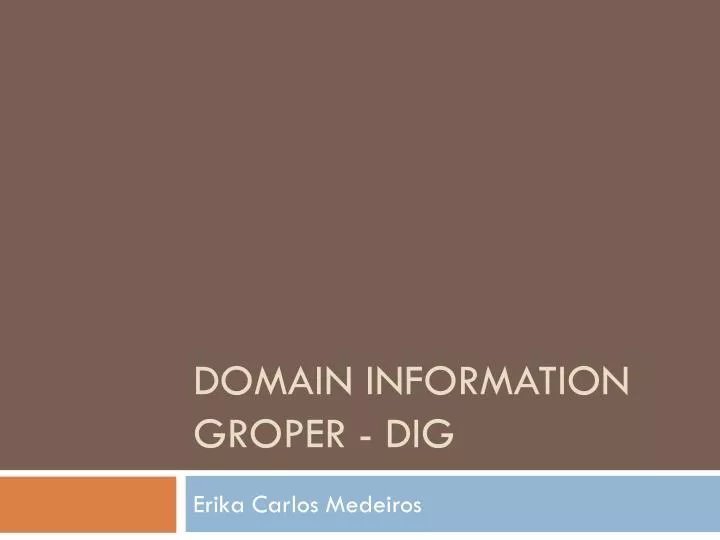 domain information groper dig