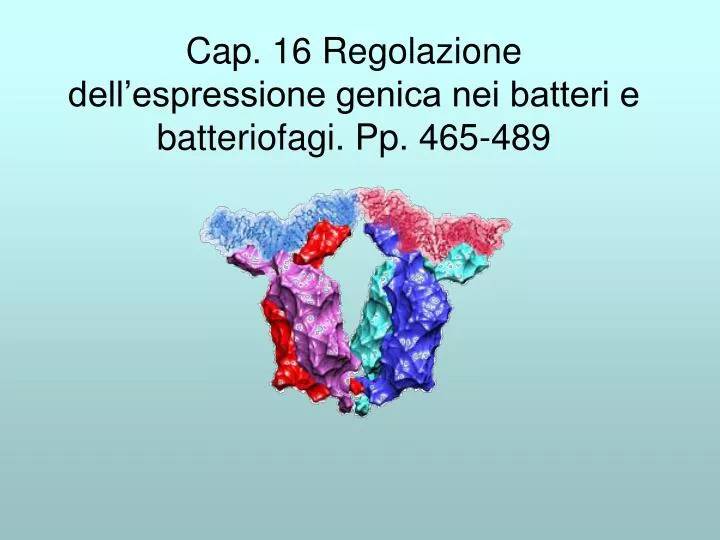 cap 16 regolazione dell espressione genica nei batteri e batteriofagi pp 465 489