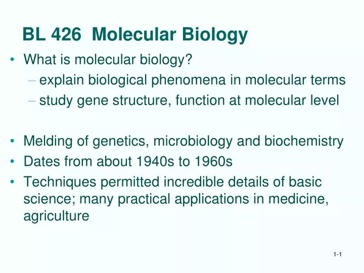 bl 426 molecular biology