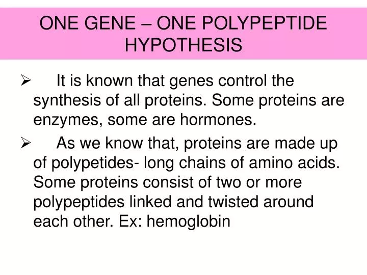 one gene one polypeptide hypothesis