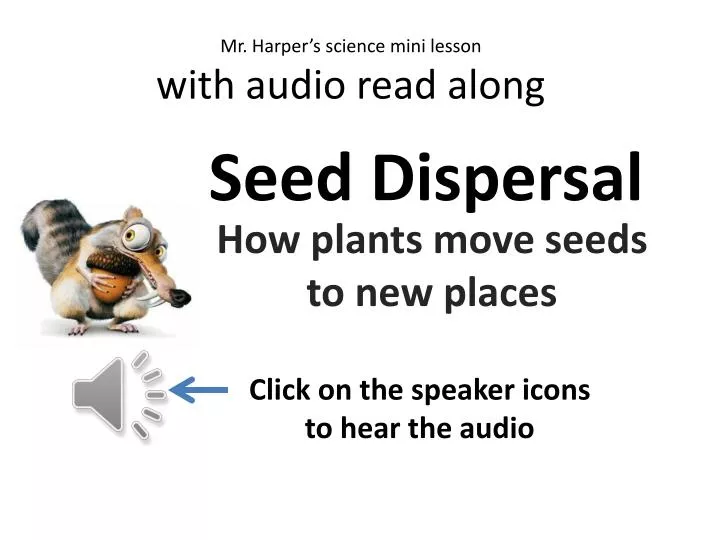 seed dispersal