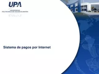 sistema de pagos por internet