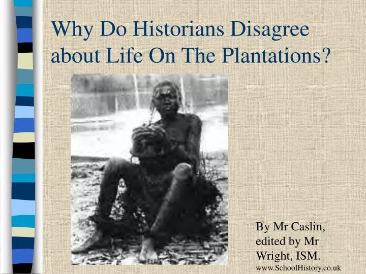 why do historians disagree about life on the plantations