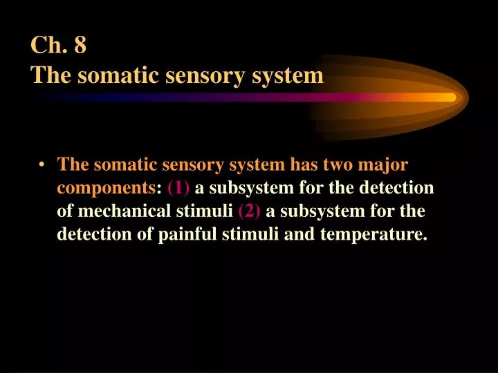 ch 8 the somatic sensory system