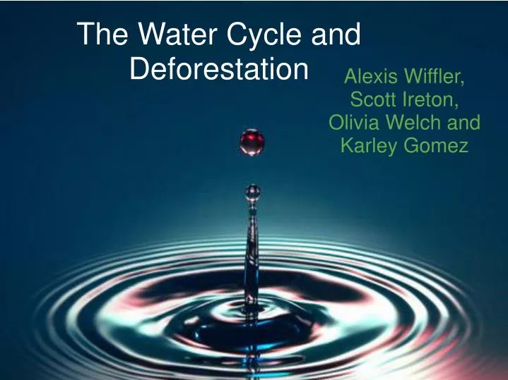 the water cycle and deforestation