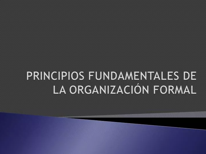 principios fundamentales de la organizaci n formal