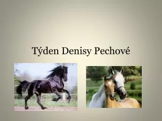 t den denisy pechov