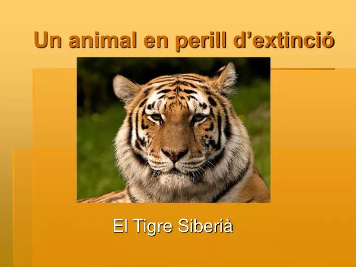 un animal en perill d extinci