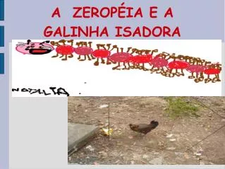 a zerop ia e a galinha isadora