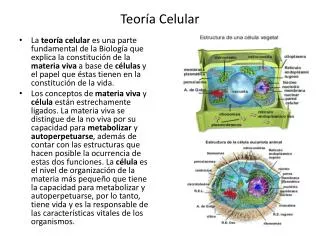 teor a celular