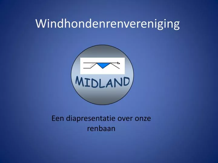 windhondenrenvereniging