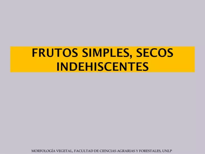 frutos simples secos indehiscentes