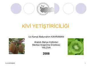 k v yet t r c l