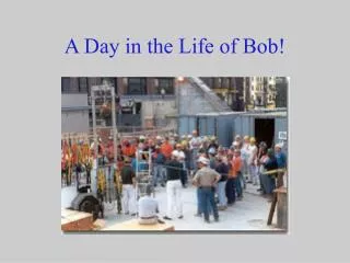 A Day in the Life of Bob!
