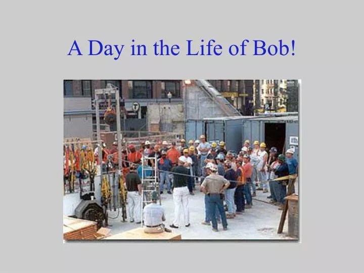 a day in the life of bob