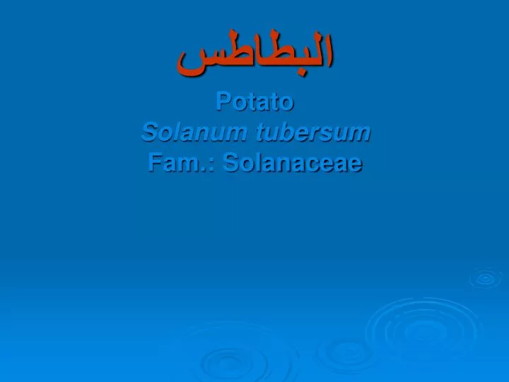 potato solanum tubersum fam solanaceae