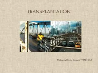 transplantation