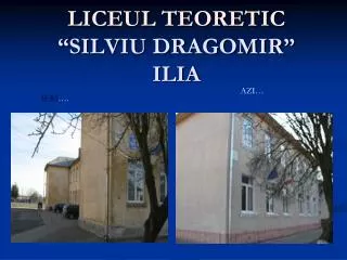 liceul teoretic silviu dragomir ilia