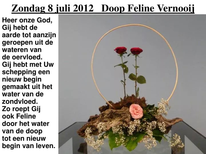 zondag 8 juli 2012 doop feline vernooij