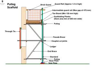 Putlog Scaffold