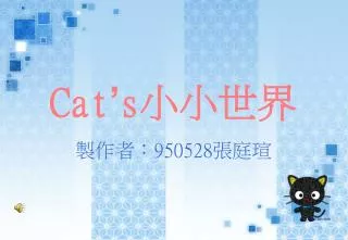 cat s
