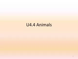 U4.4 Animals