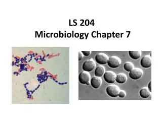 LS 204 Microbiology Chapter 7