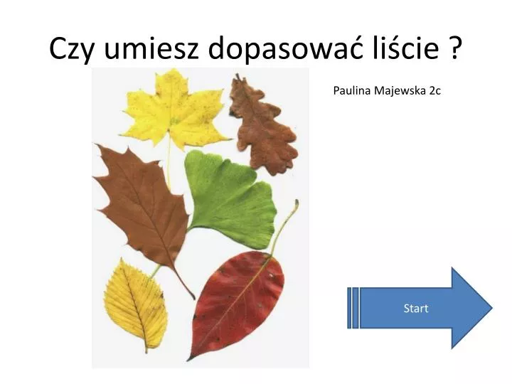 czy umiesz dopasowa li cie