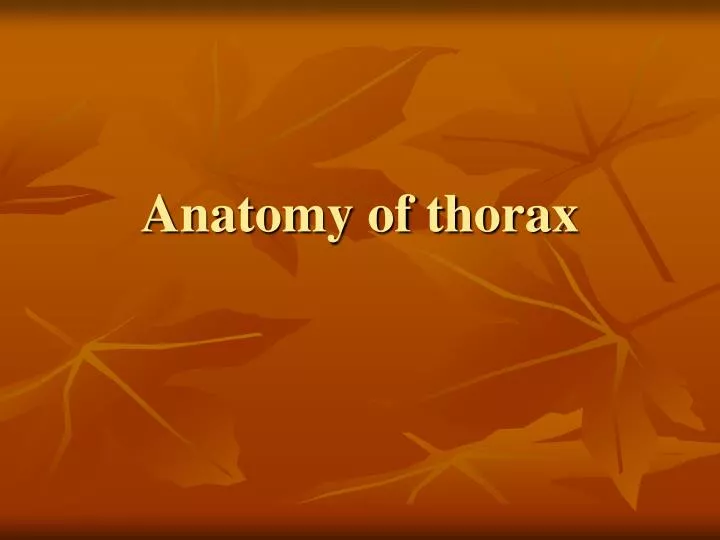 anatomy of thorax