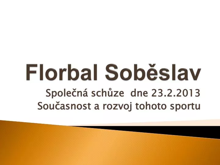 florbal sob slav