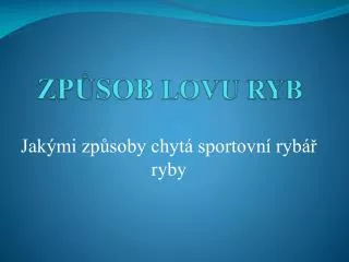 zp sob lovu ryb