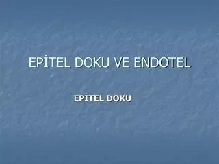 ep tel doku ve endotel