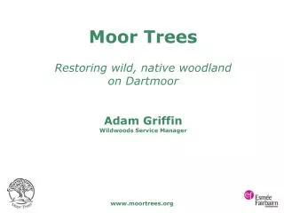 Moor Trees Restoring wild, native woodland on Dartmoor Adam Griffin Wildwoods Service Manager