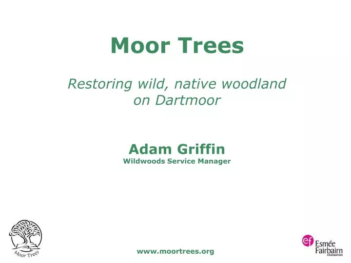 moor trees restoring wild native woodland on dartmoor adam griffin wildwoods service manager