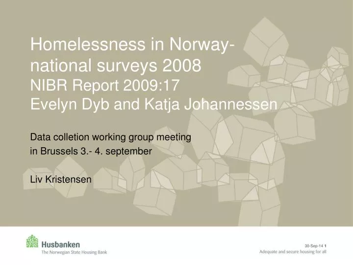 homelessness in norway national surveys 2008 nibr report 2009 17 evelyn dyb and katja johannessen