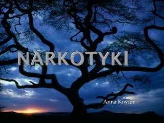 narkotyk i