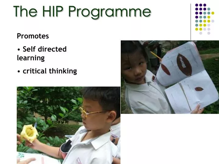 the hip programme