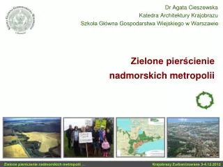 zielone pier cienie nadmorskich metropolii