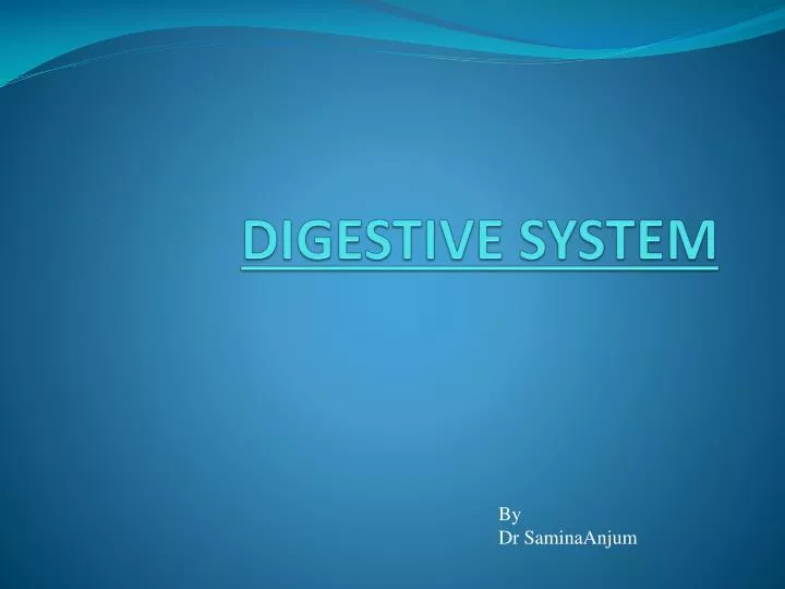 digestive system