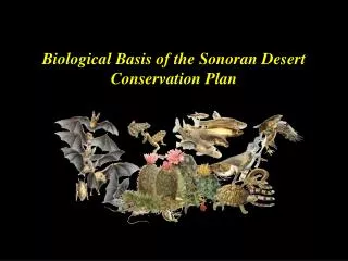 Biological Basis of the Sonoran Desert Conservation Plan