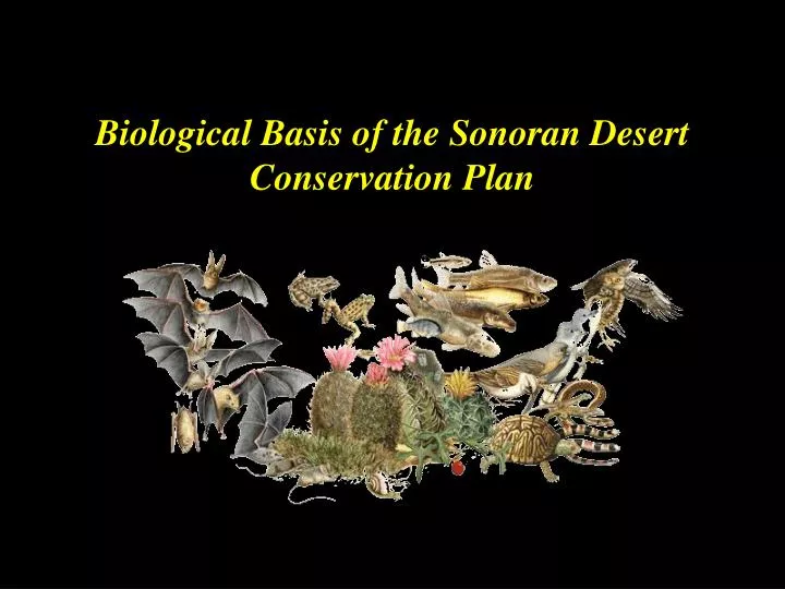 biological basis of the sonoran desert conservation plan