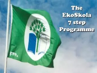 The EkoSkola 7 step Programme