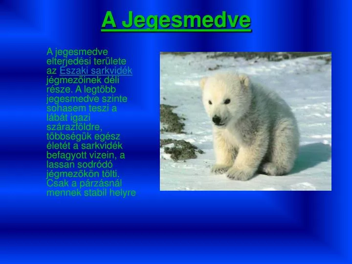 a jegesmedve