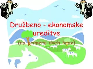 dru beno ekonomske ureditve
